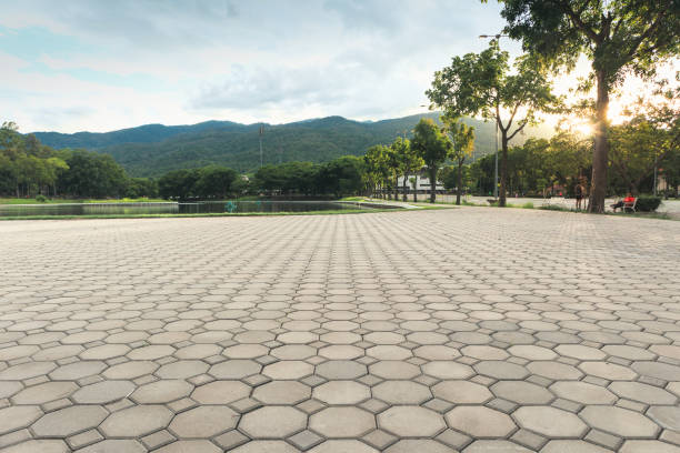 Best Professional Driveway Pavers  in Jena, LA